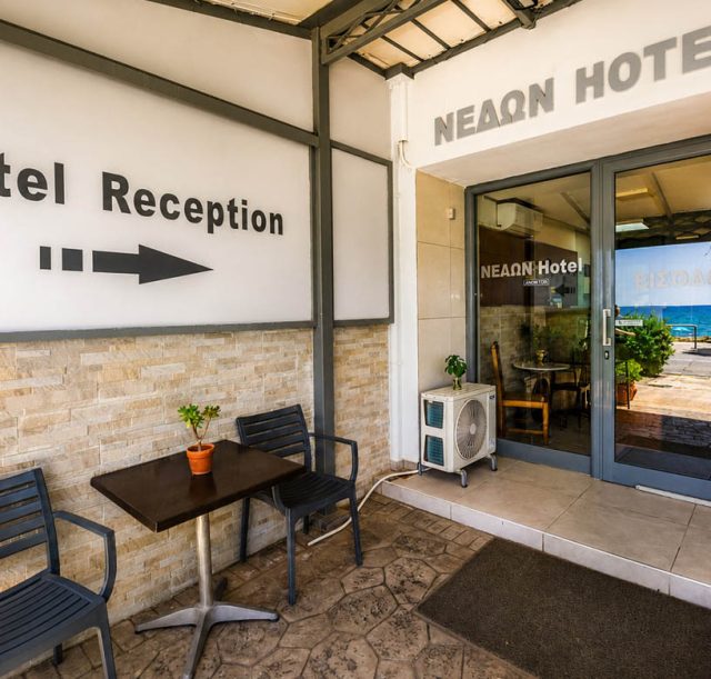 Nedon-gallery-03